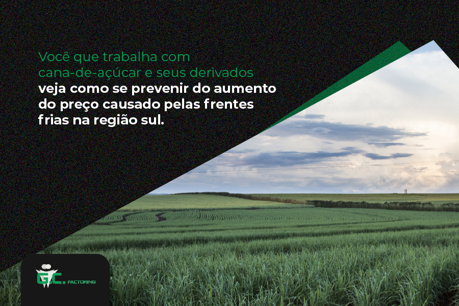 Como se prevenir do aumento do preço causado pelas frentes frias na região sul pra quem trabalha com cana-de-açúcar - GC Recursos